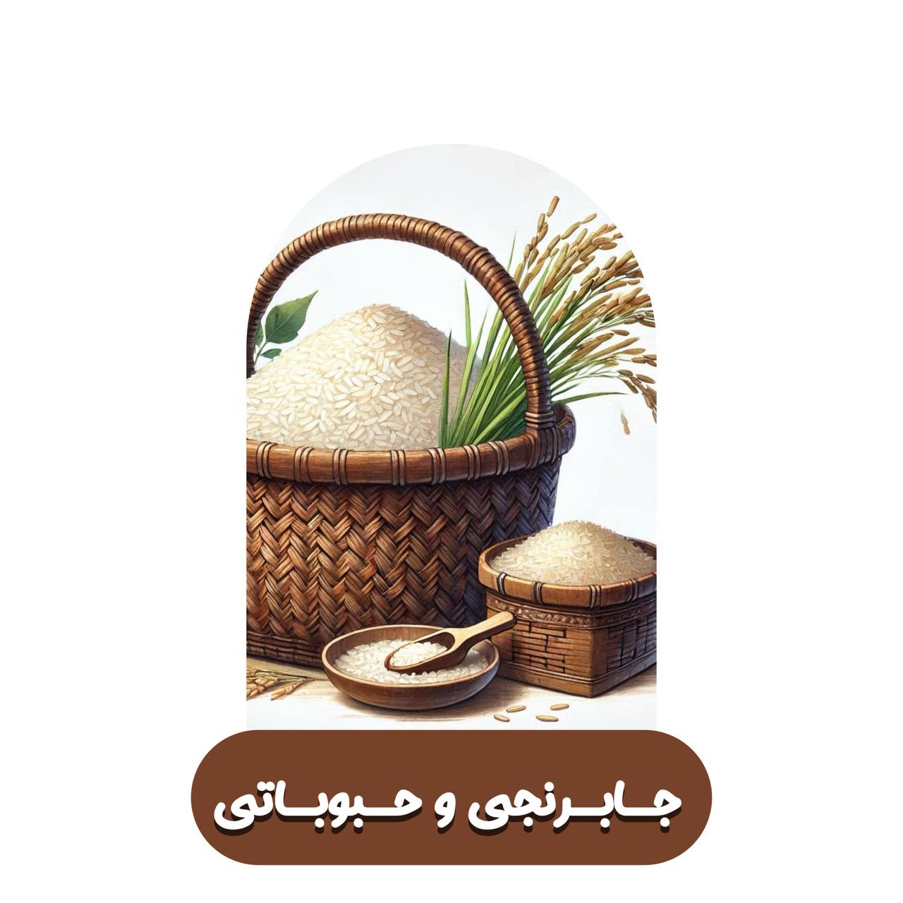 جابرنجی و حبوبات